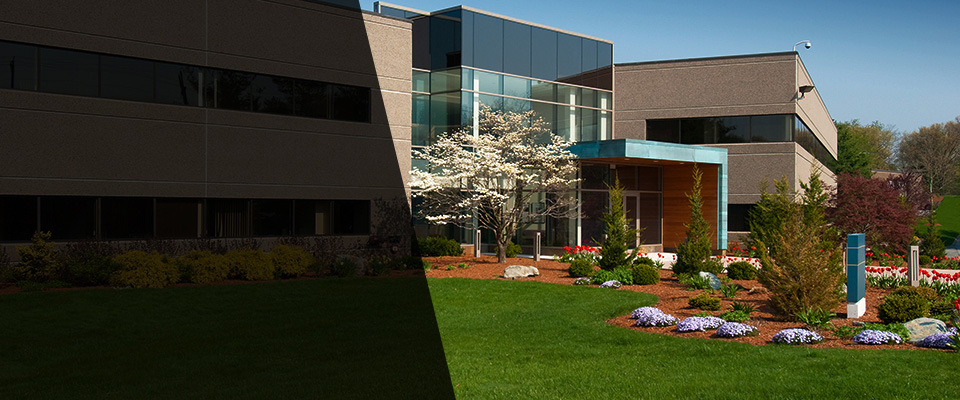 White Oak Landscapers