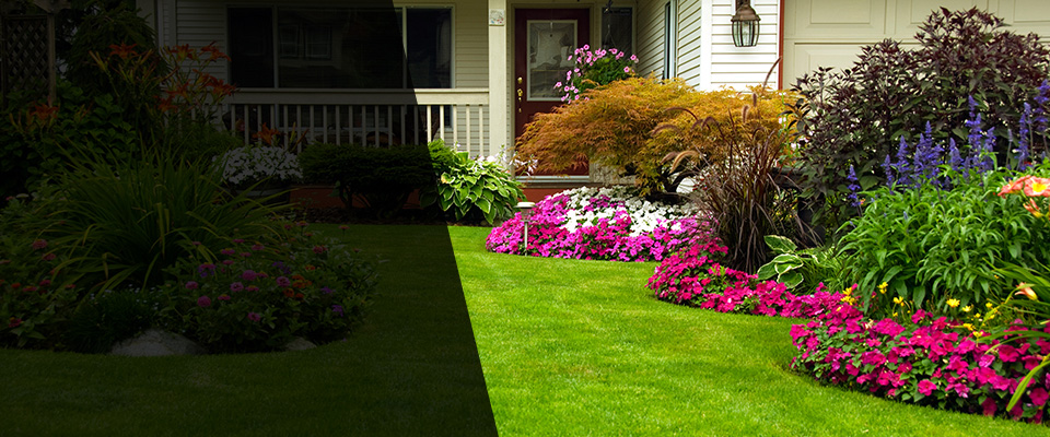 White Oak Landscapers
