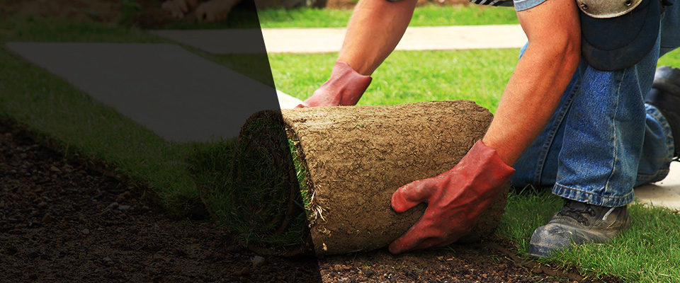 White Oak Landscapers